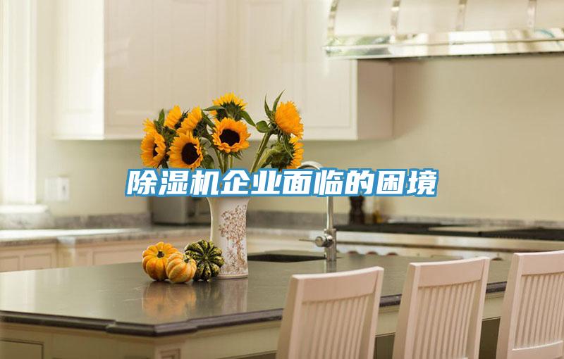 猫咪成人官网企业面临的困境