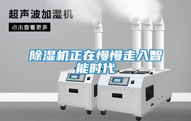 猫咪成人官网正在慢慢走入智能时代