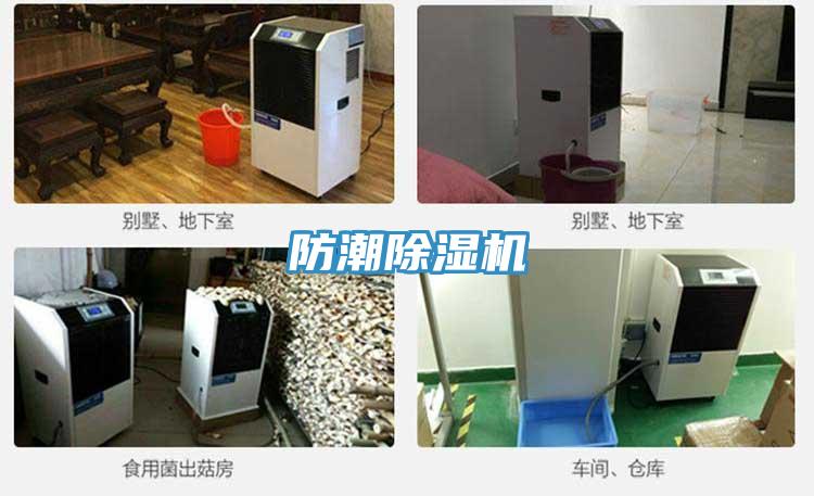 防潮猫咪成人官网