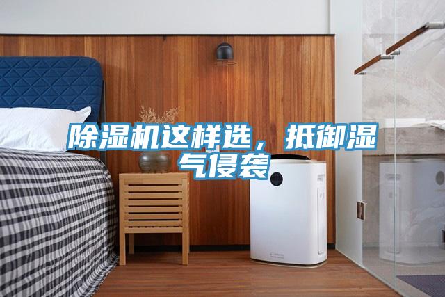 猫咪成人官网这样选，抵御湿气侵袭