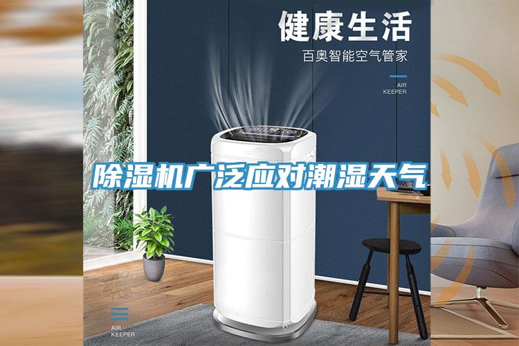 猫咪成人官网广泛应对潮湿天气