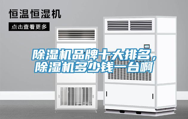 猫咪成人官网品牌十大排名，猫咪成人官网多少钱一台啊