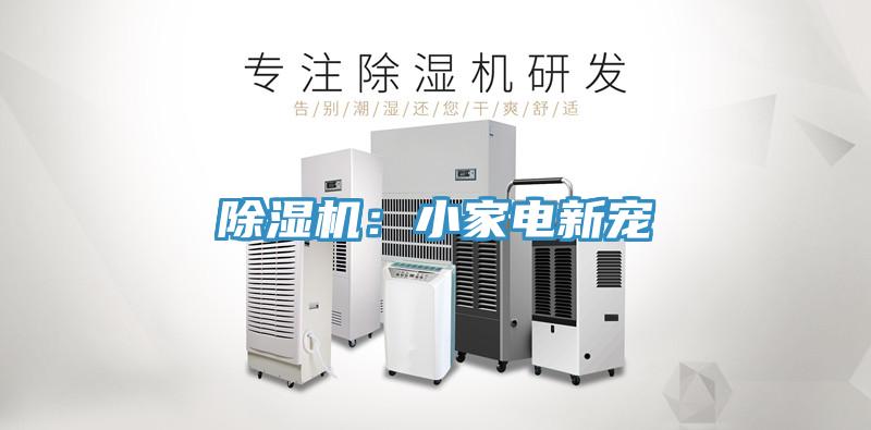猫咪成人官网：小家电新宠