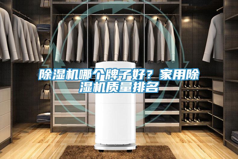 猫咪成人官网哪个牌子好？家用猫咪成人官网质量排名