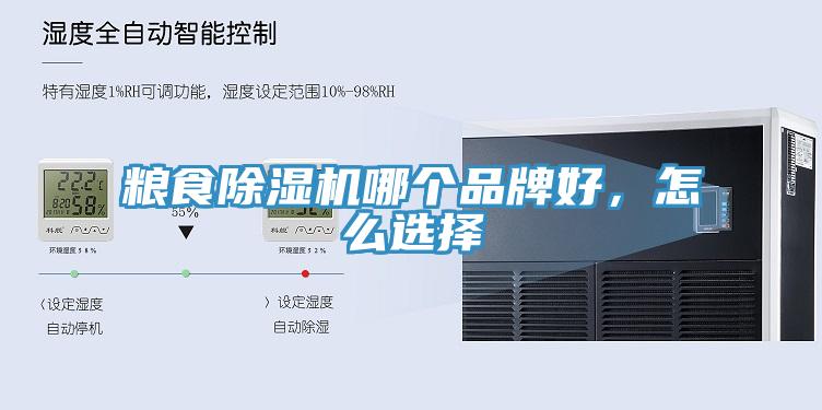 粮食猫咪成人官网哪个品牌好，怎么选择