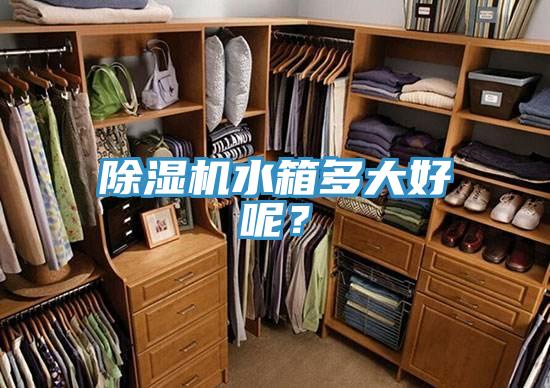 猫咪成人官网水箱多大好呢？