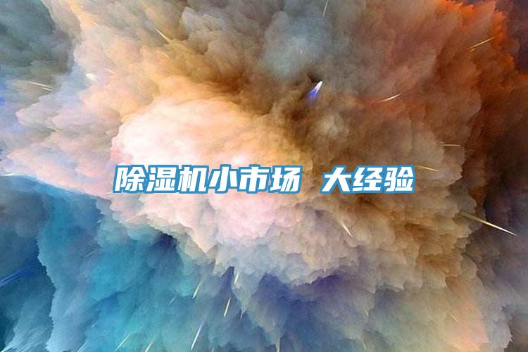 猫咪成人官网小市场 大经验