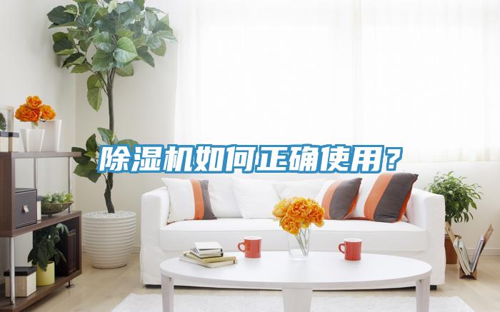 猫咪成人官网如何正确使用？