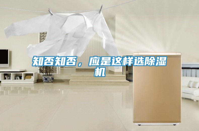 知否知否，应是这样选猫咪成人官网