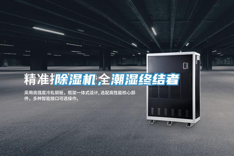 猫咪成人官网，潮湿终结者