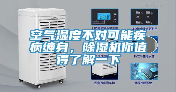空气湿度不对可能疾病缠身，猫咪成人官网你值得了解一下