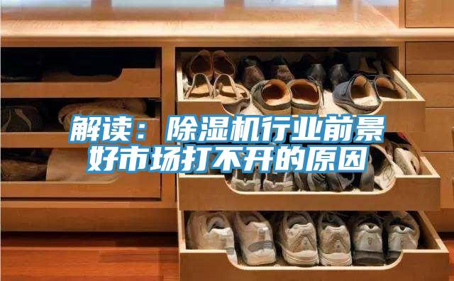 解读：猫咪成人官网行业前景好市场打不开的原因