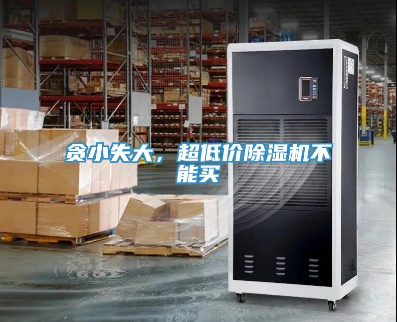 贪小失大，超低价猫咪成人官网不能买