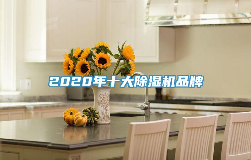 2020年十大猫咪成人官网品牌