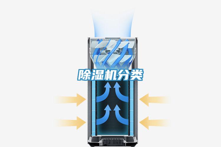 猫咪成人官网分类