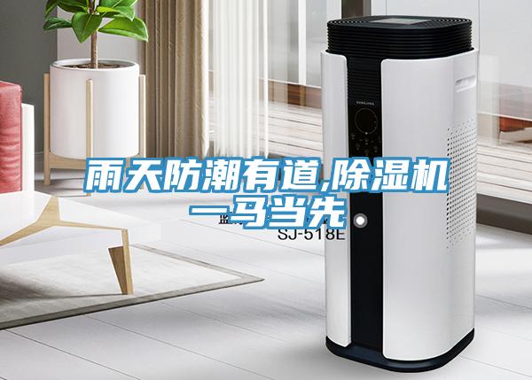 雨天防潮有道,猫咪成人官网一马当先
