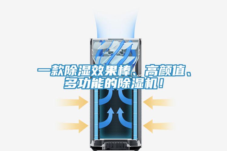 一款除湿效果棒、高颜值、多功能的猫咪成人官网！
