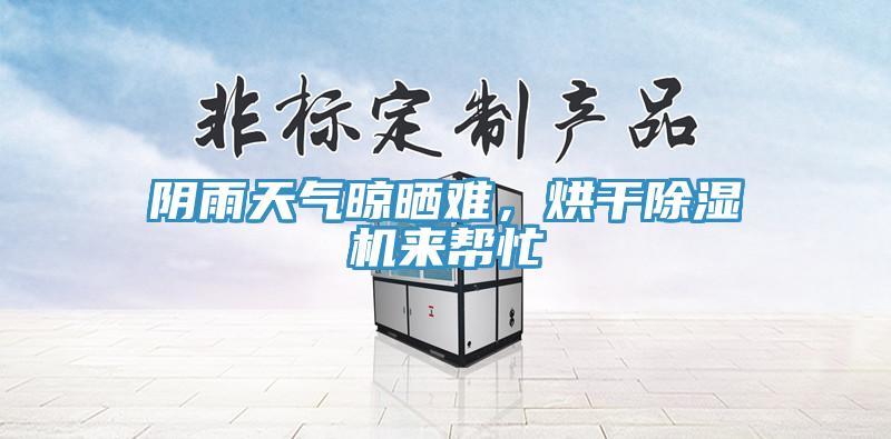 阴雨天气晾晒难，烘干猫咪成人官网来帮忙