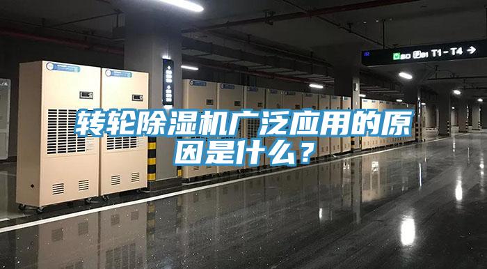 转轮猫咪成人官网广泛应用的原因是什么？
