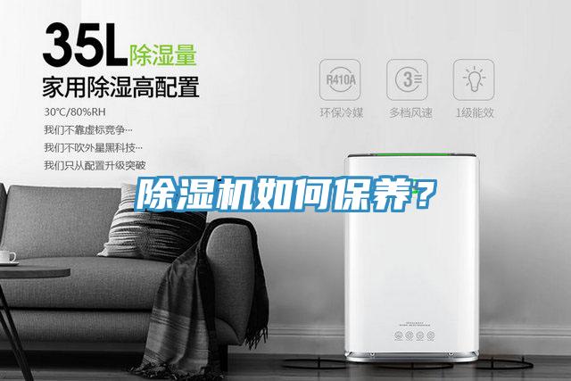 猫咪成人官网如何保养？