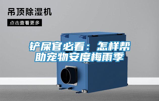 铲屎官必看：怎样帮助宠物安度梅雨季
