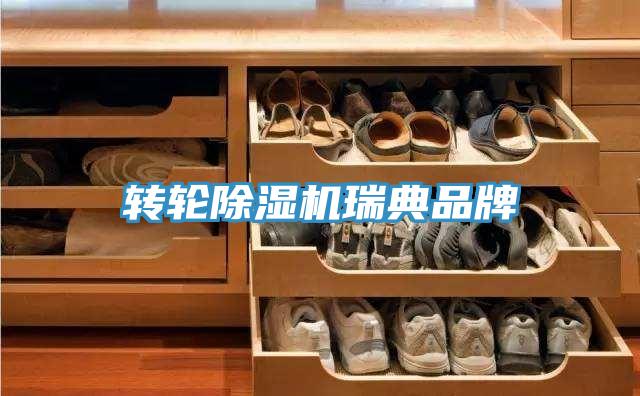 转轮猫咪成人官网瑞典品牌