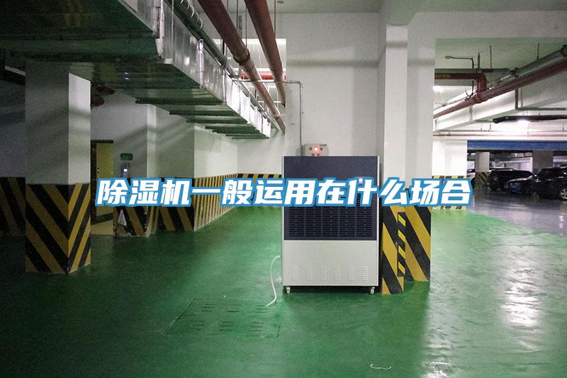 猫咪成人官网一般运用在什么场合