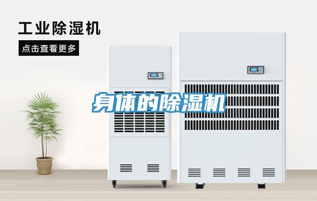 身体的猫咪成人官网