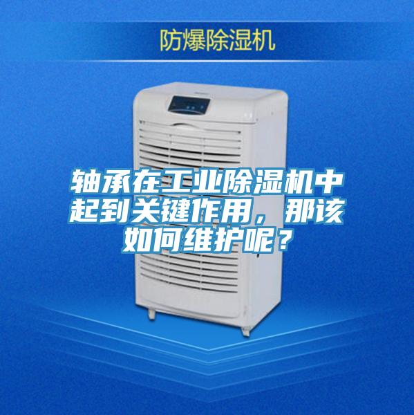 轴承在工业猫咪成人官网中起到关键作用，那该如何维护呢？