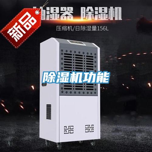 猫咪成人官网功能