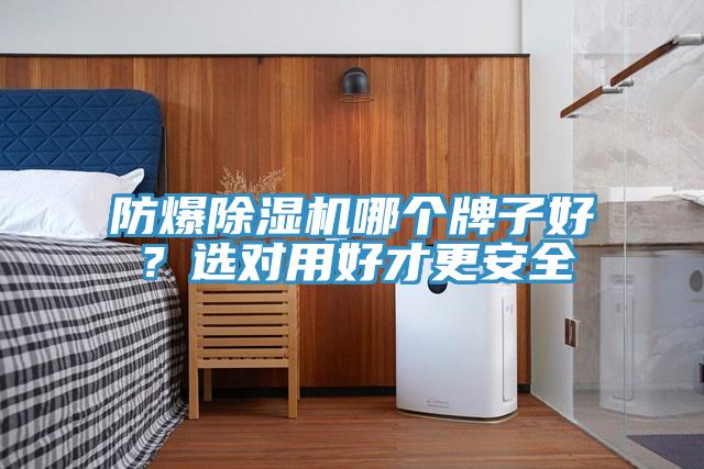 防爆猫咪成人官网哪个牌子好？选对用好才更安全