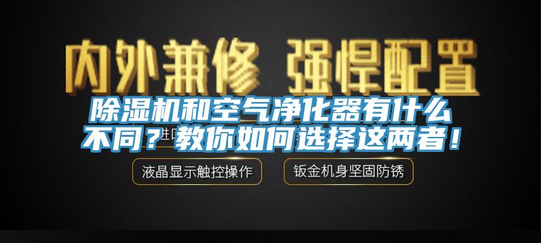 猫咪成人官网和空气净化器有什么不同？教你如何选择这两者！