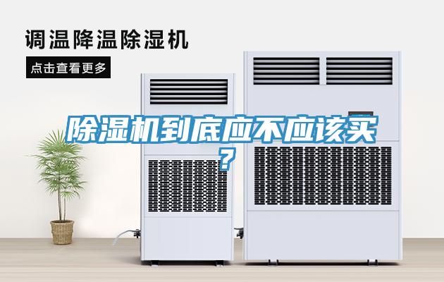 猫咪成人官网到底应不应该买？