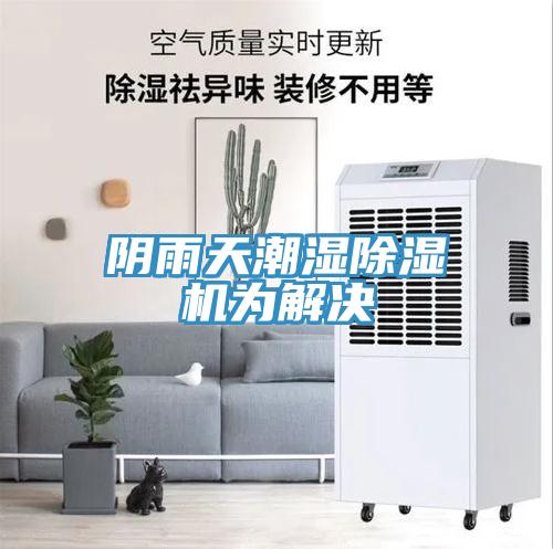阴雨天潮湿猫咪成人官网为解决