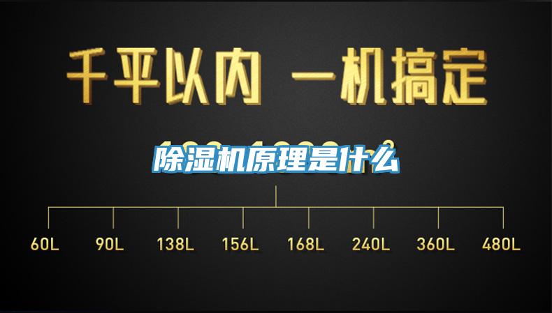 猫咪成人官网原理是什么
