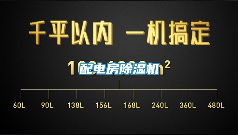 配电房猫咪成人官网