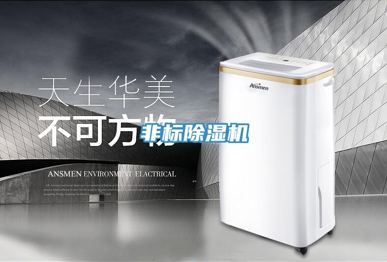 非标猫咪成人官网