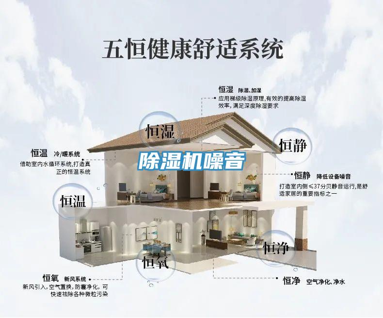 猫咪成人官网噪音