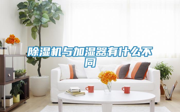 猫咪成人官网与加湿器有什么不同