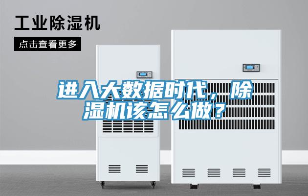 进入大数据时代，猫咪成人官网该怎么做？