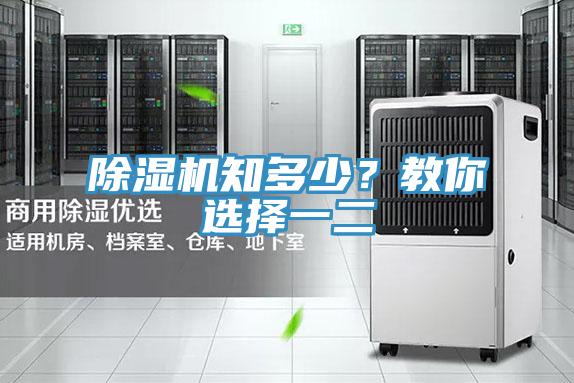猫咪成人官网知多少？教你选择一二