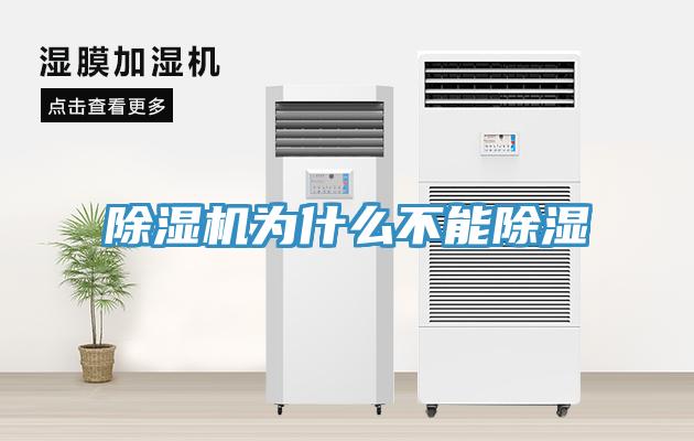 猫咪成人官网为什么不能除湿