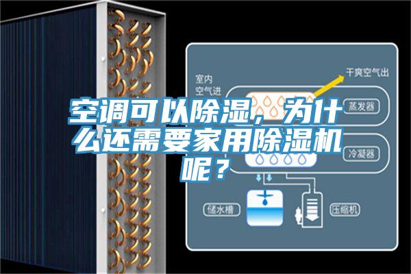 空调可以除湿，为什么还需要家用猫咪成人官网呢？