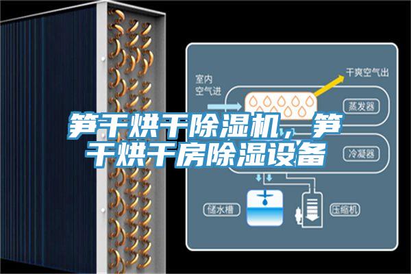 笋干烘干猫咪成人官网，笋干烘干房除湿设备