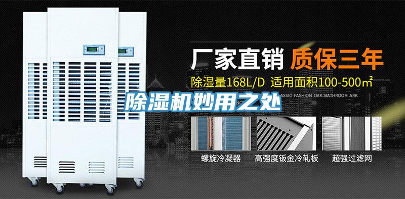 猫咪成人官网妙用之处