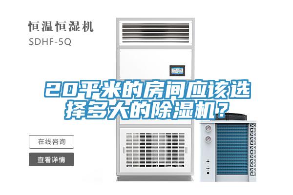 20平米的房间应该选择多大的猫咪成人官网？