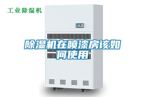 猫咪成人官网在喷漆房该如何使用