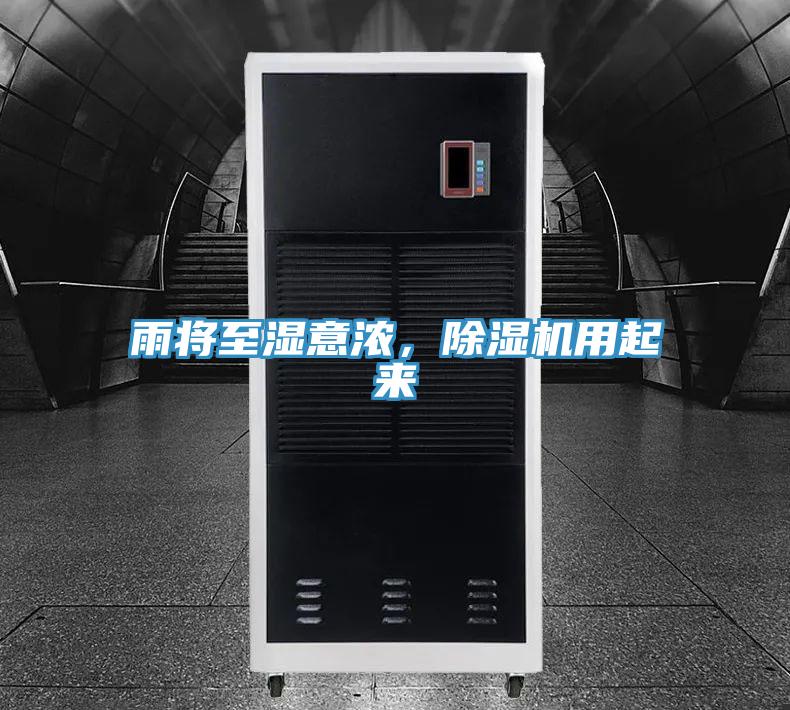 雨将至湿意浓，猫咪成人官网用起来