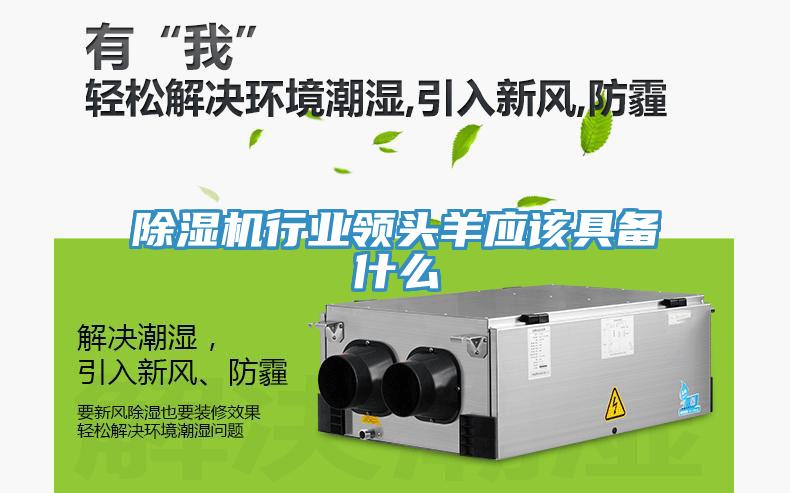 猫咪成人官网行业领头羊应该具备什么