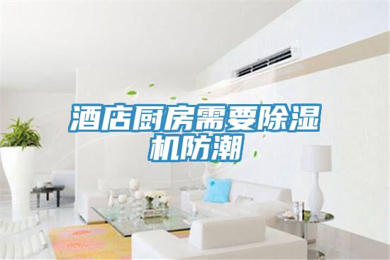酒店厨房需要猫咪成人官网防潮